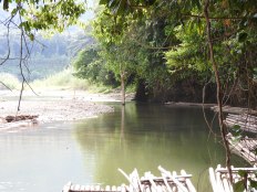 Khao_Sok_Wang_Khunphrom_Ecotourism_river (2)